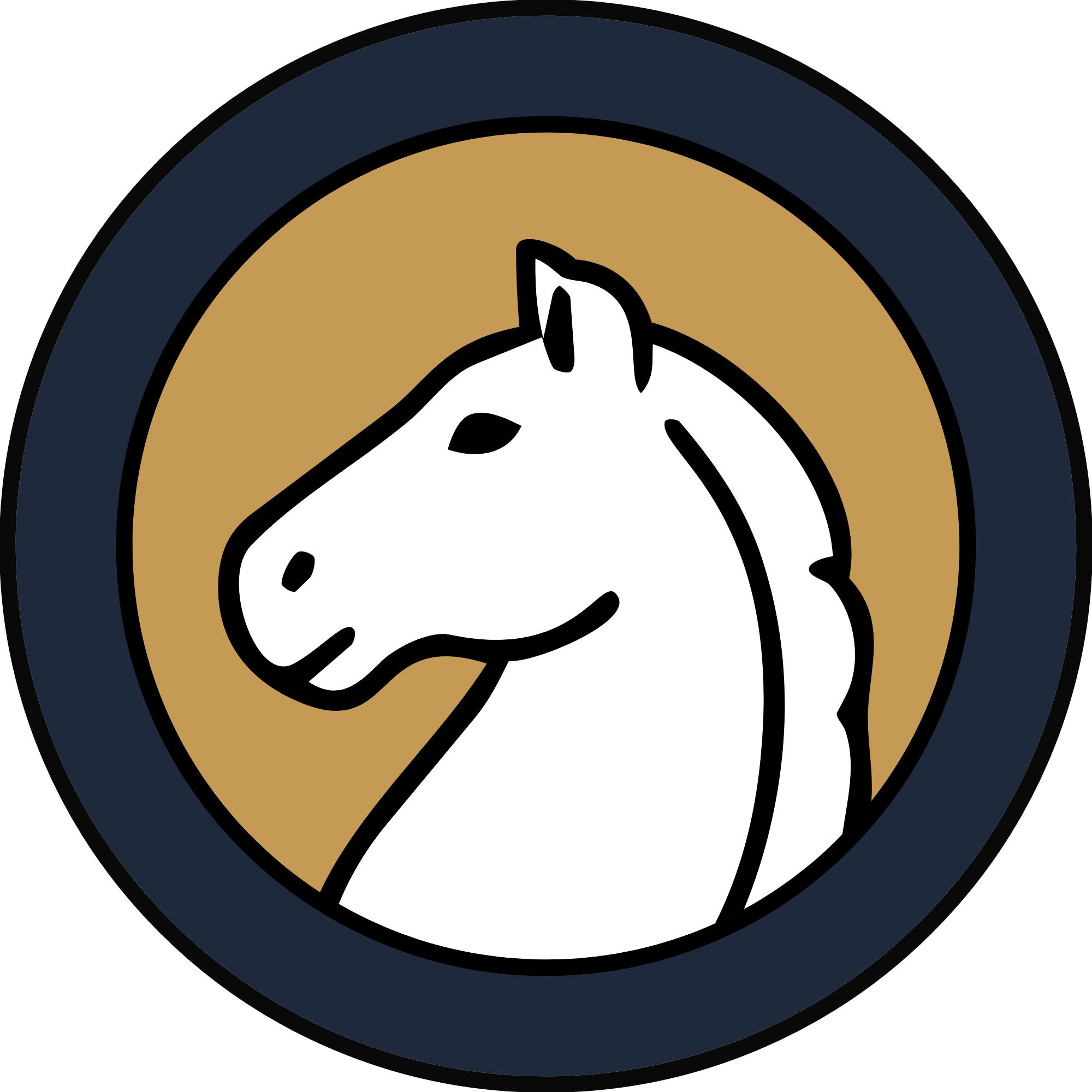 Lima Area Chess Club Logo
